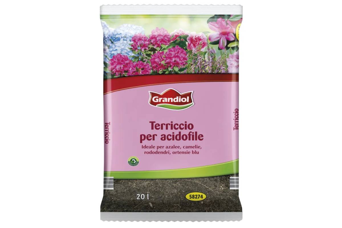 Terriccio per acidofile