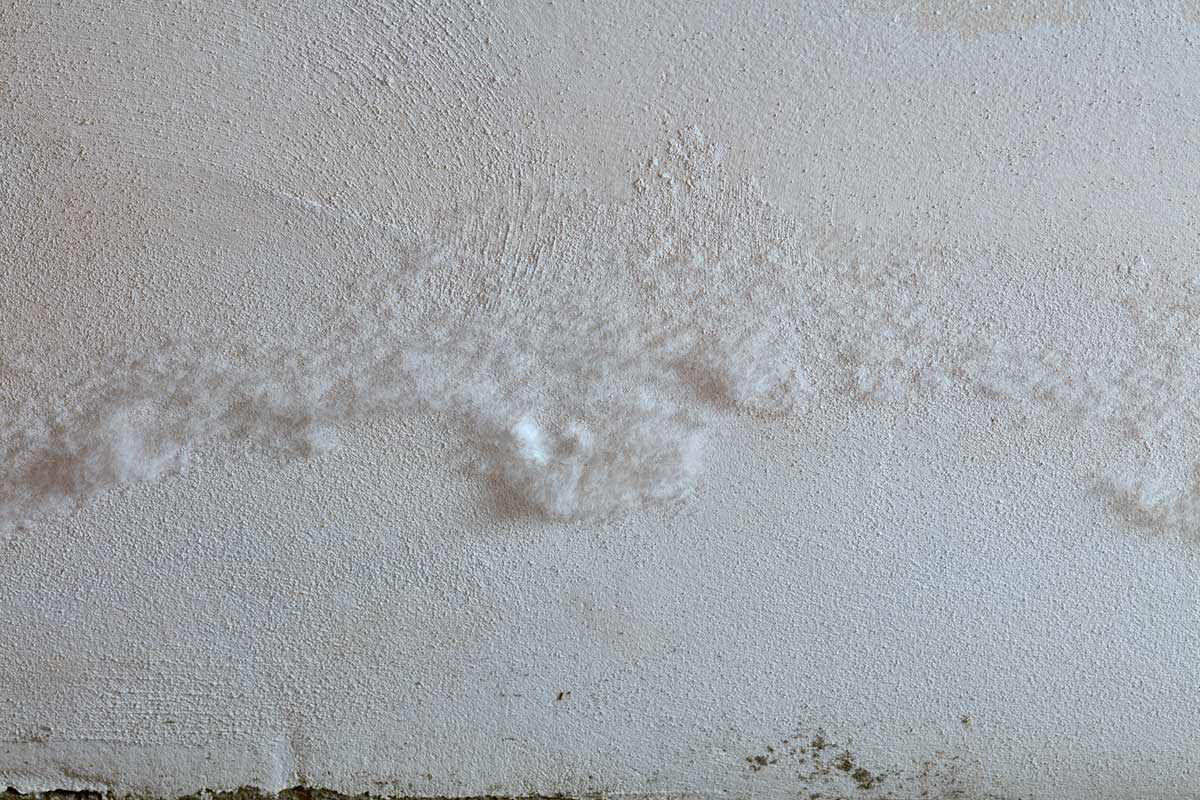 muffa bianca sui muri