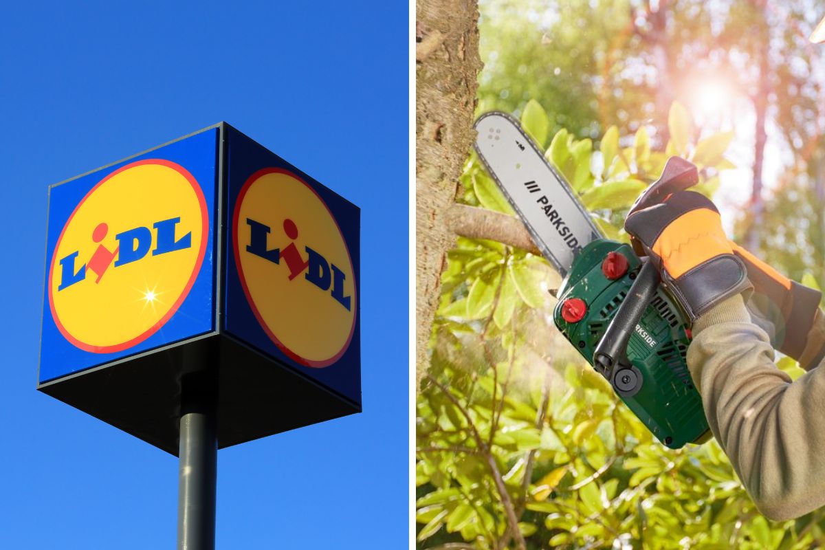 Motosega a benzina per potatura di Lidl