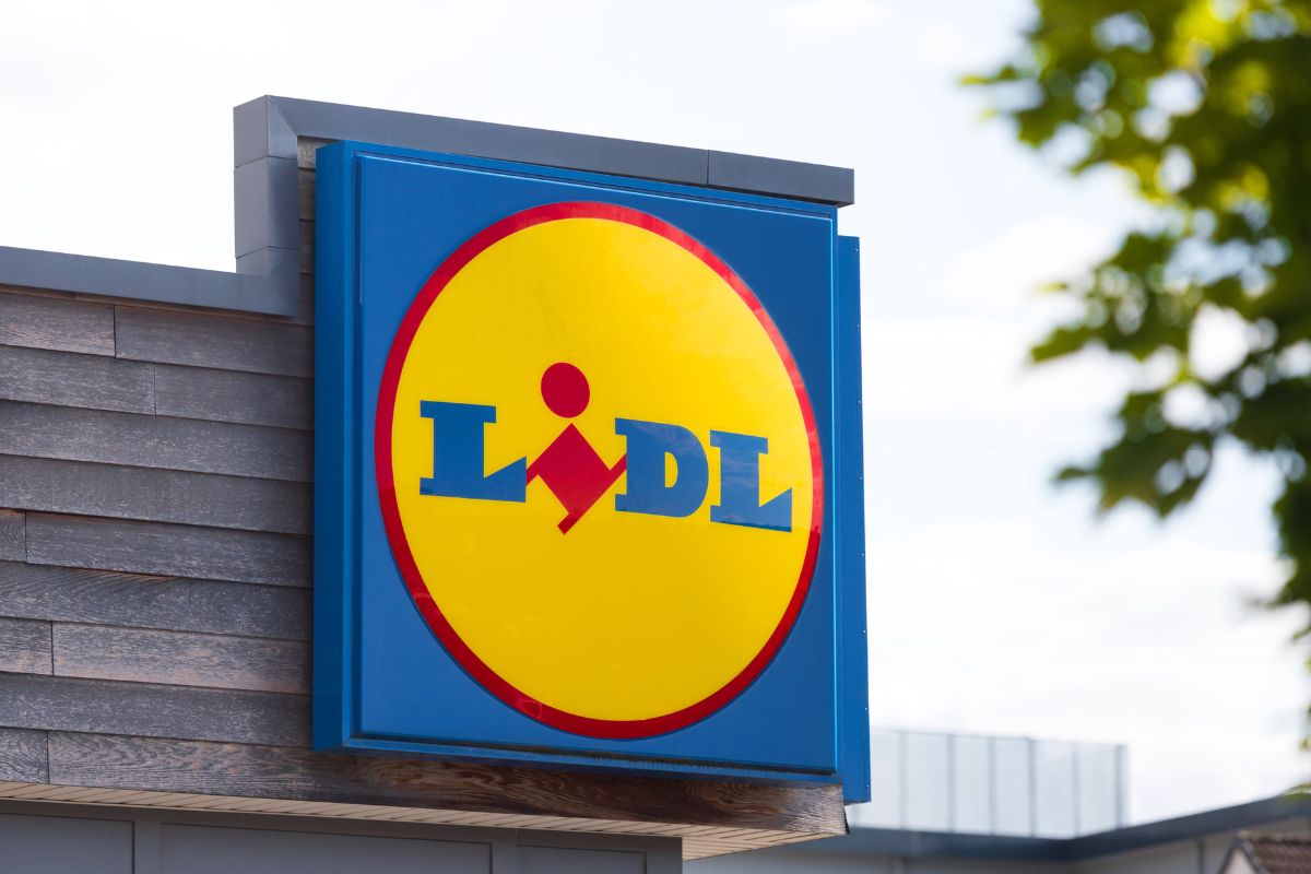 Piante in offerta da Lidl questa weekend