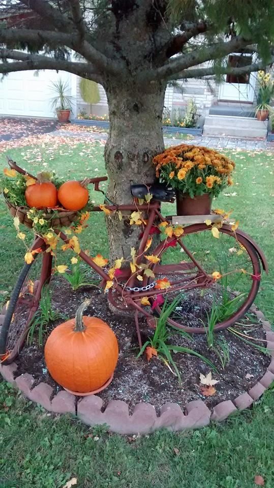 Come trasformare il giardino in autunno