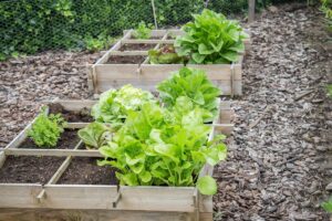 Trasforma lo spazio verde con un orto rialzato a quadretti