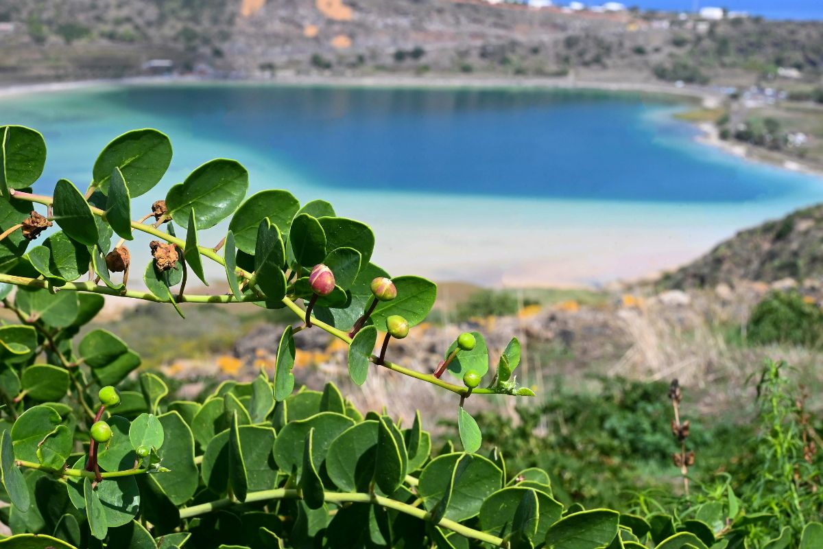 Sicilia l'isola di Pantelleria