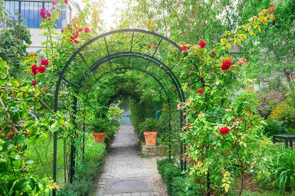 Decorare il giardino con le piante rampicanti su tralicci.