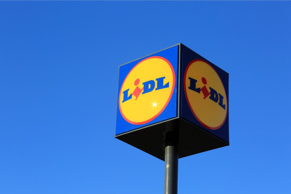 Piante della settimana da LIDL