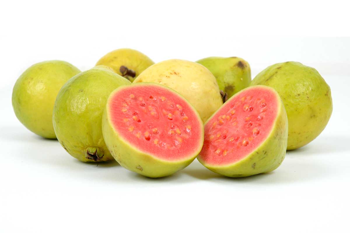 guava