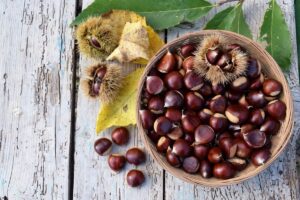 Castagne fresche fino a Natale 5 metodi