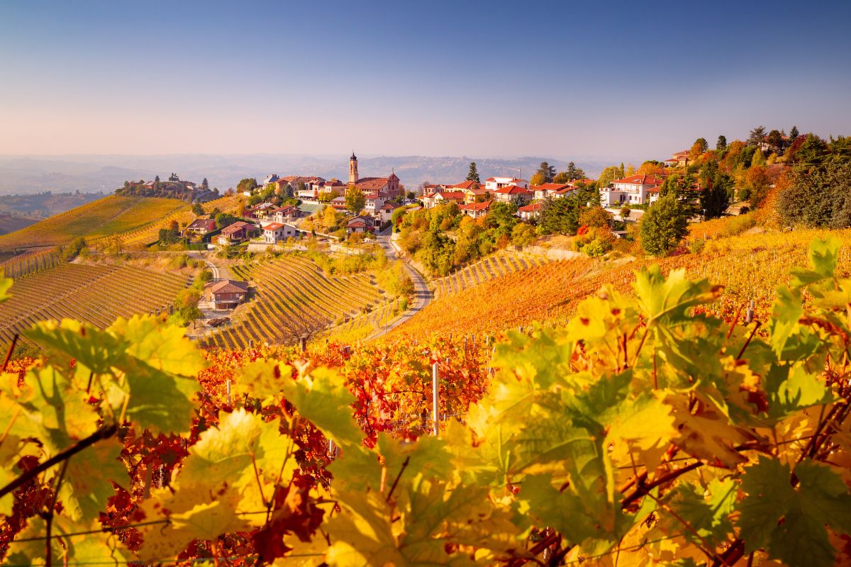 Langhe piemontesi