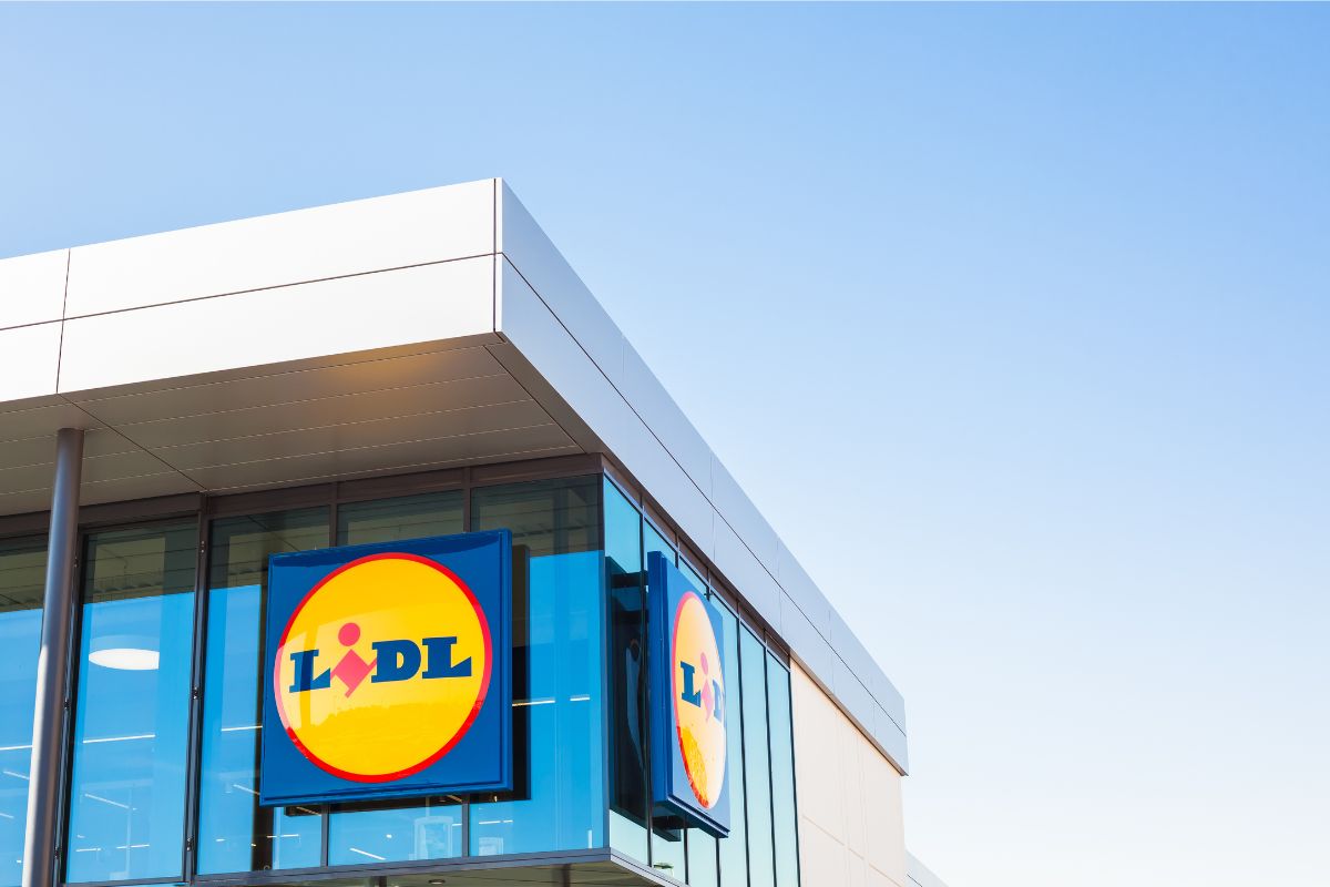 Piante in offerta da Lidl questa settimana