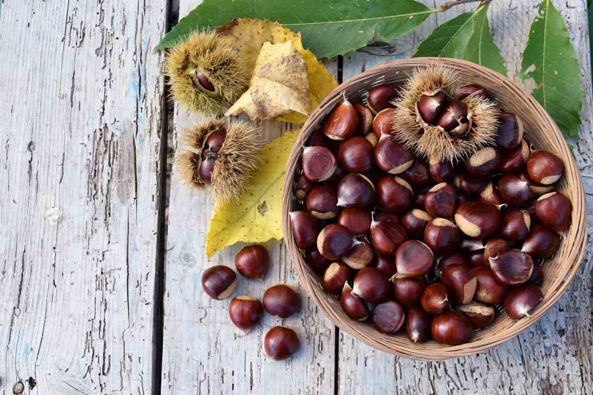 Come conservare le castagne