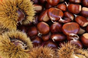 Le Migliori Pratiche per Conservare le Castagne