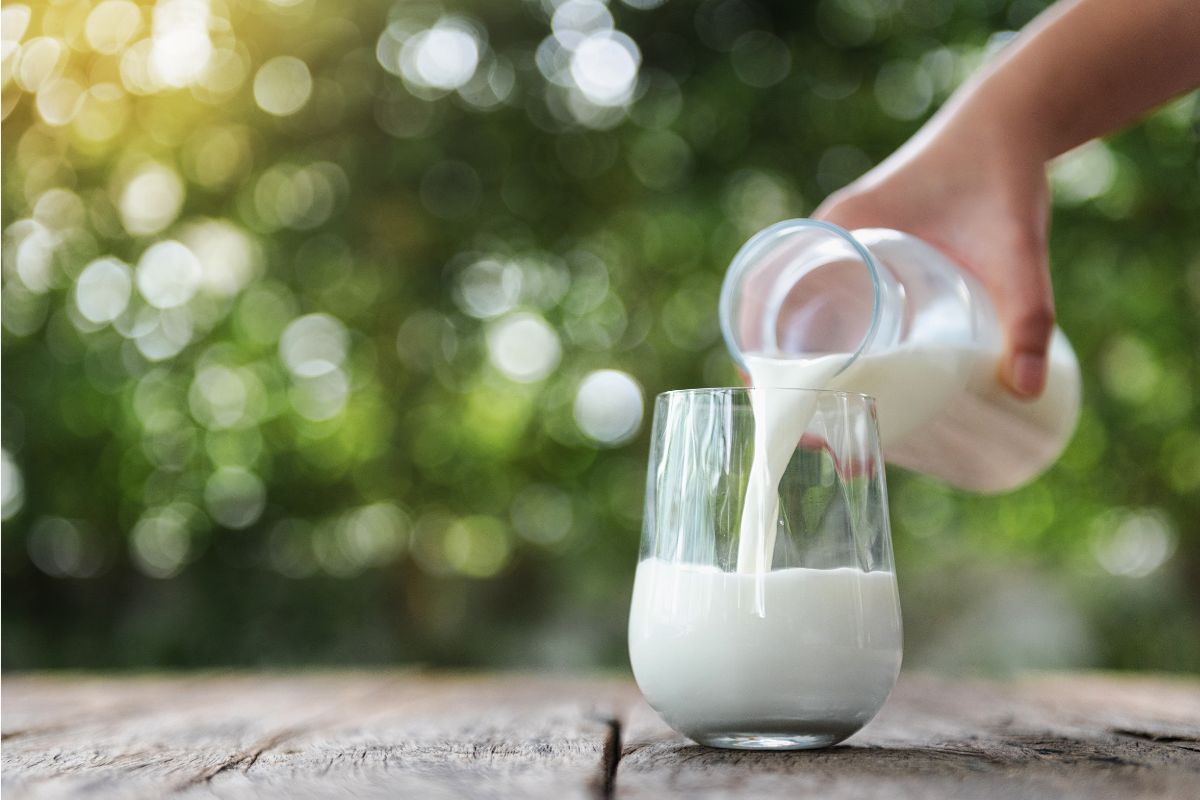 Nuova vita per il divano in ecopelle rovinato con il latte caldo