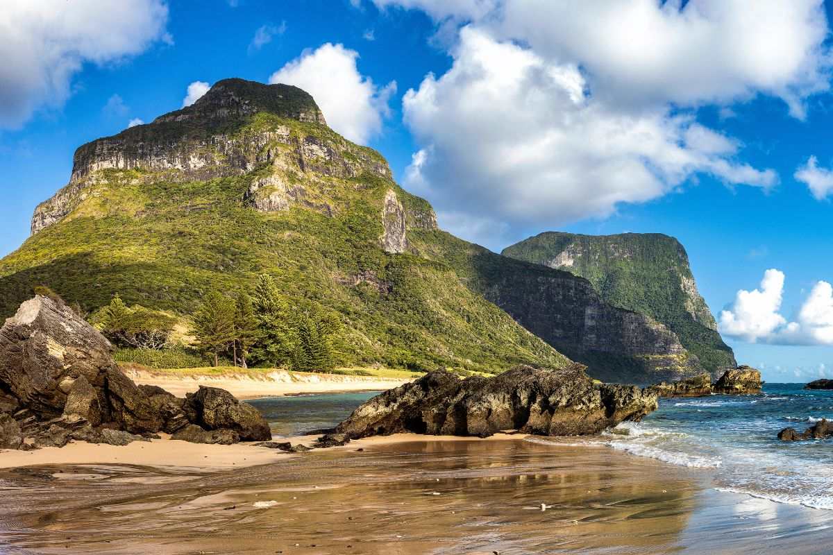 Vivi Lord Howe Island