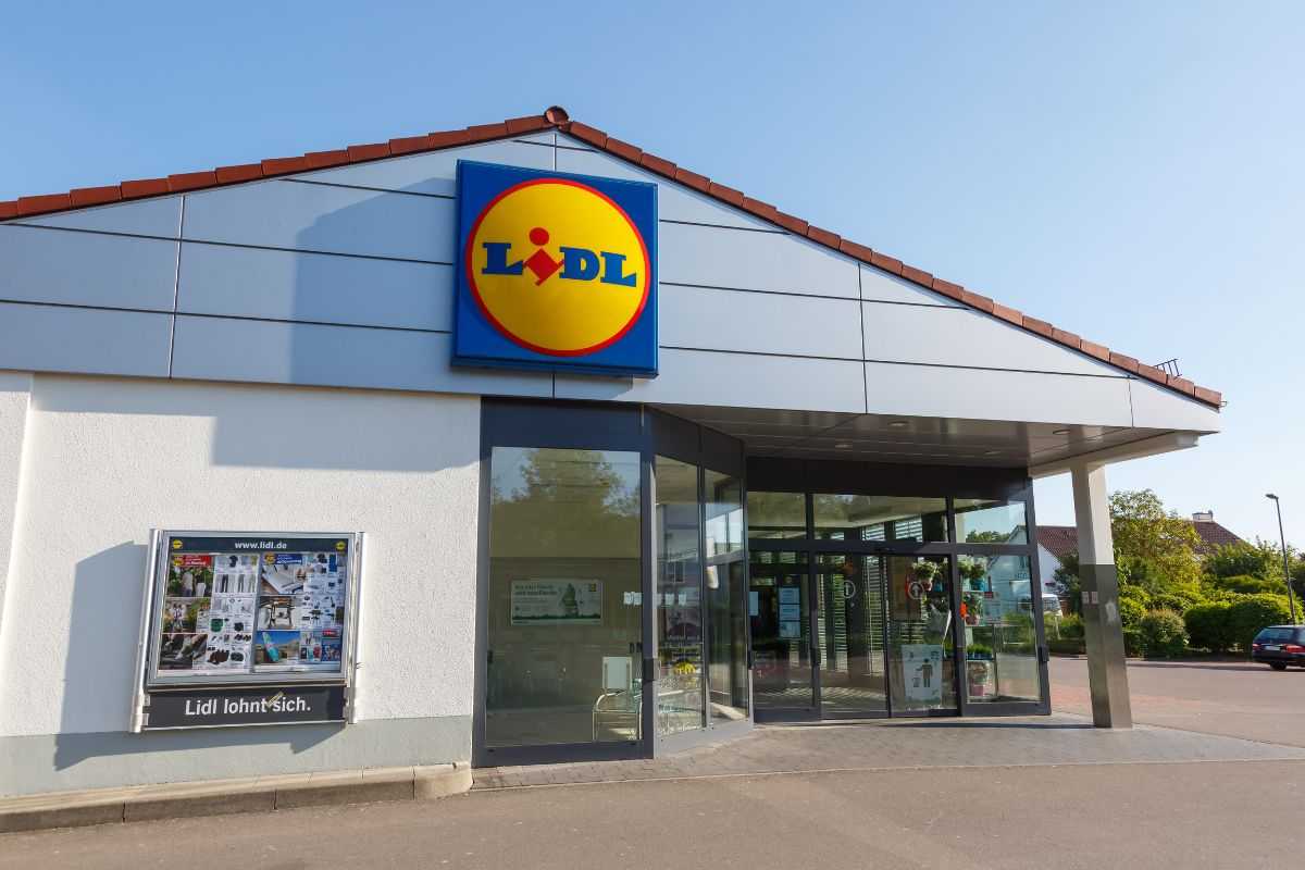 offerta piante Lidl