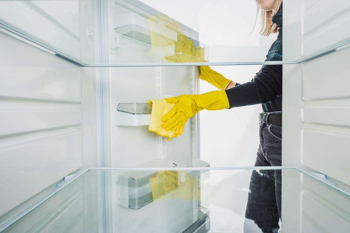 perché è importante pulire le guarnizioni del frigo