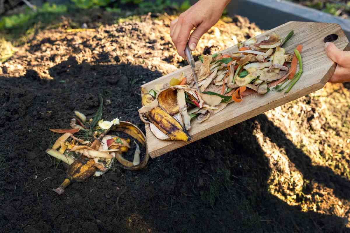 perché usare le bucce della frutta per fertilizzare