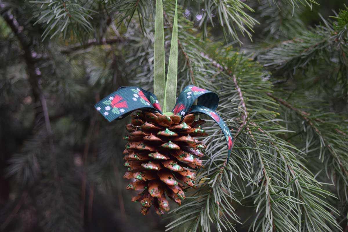 usare le pigne per albero di natale