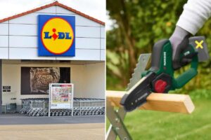 scopri la motosega ricaricabile Parkside di Lidl