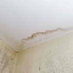 come eliminare muffa dal soffitto