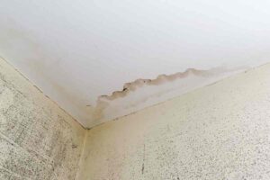 come eliminare muffa dal soffitto