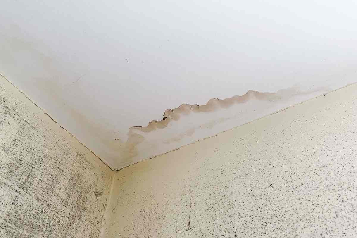 come eliminare muffa dal soffitto