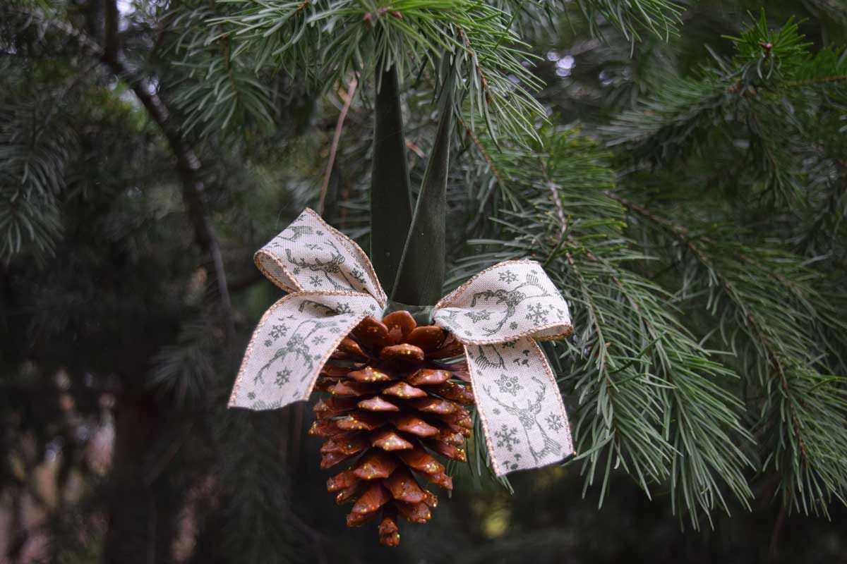 come abbellire albero di Natale con le pigne