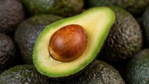 come piantare avocado dal nocciolo