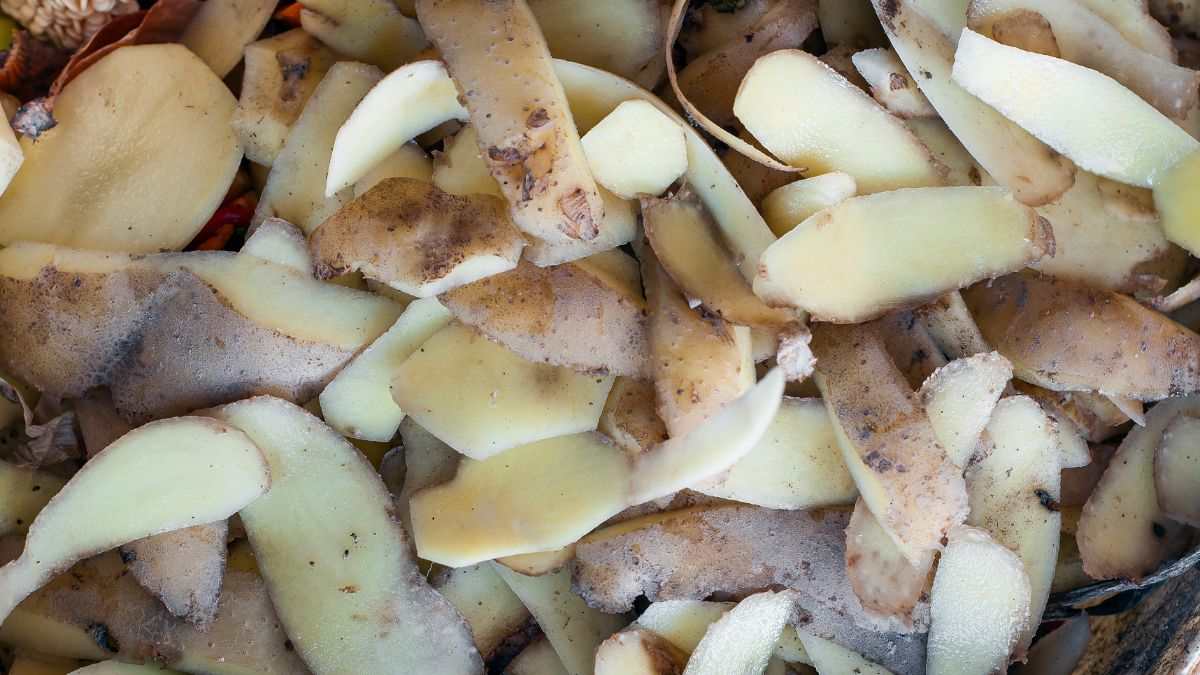 5 usi delle bucce di patate