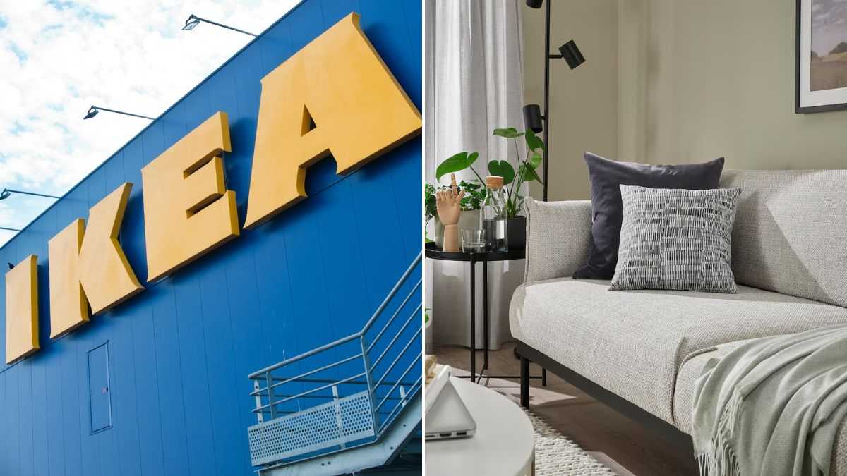 Scopri la novità Ikea: il cuscino JORDKASTANJ