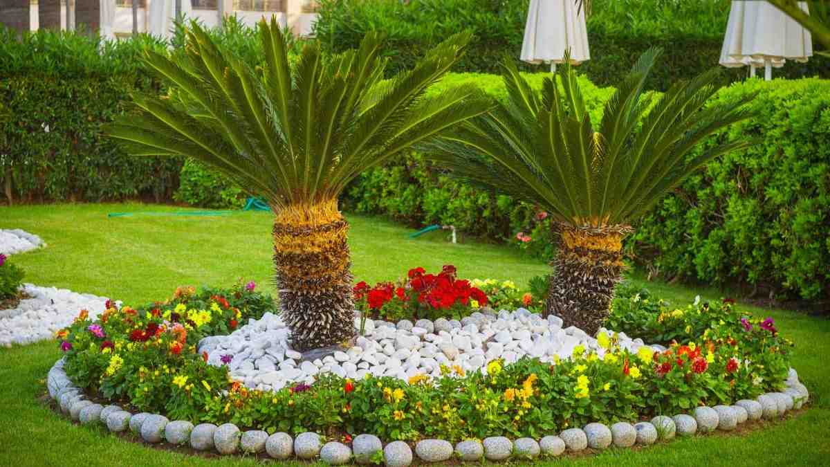 come usare i sassi per decorare il giardino